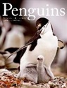 Susanne Akesson, Brutus Ostling, Brutus (PHT)/ Akesson Ostling - Penguins