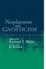 Jay Bregman, International Society for Neoplatonic St, Richard T. Wallis, Jay Bregman, Rich T Wallis, Rich T. Wallis - Neoplatonism and Gnosticism