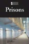 Lauri S. (EDT) Friedman, Elizabeth Des Chenes, Lauri S. Friedman - Prisons