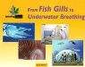 Toney Allman - From Fish Gills to Underwater Breathing
