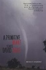 David Rabe - Primitive Heart
