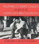 Jurgen Buchenau, Jürgen Buchenau - Plutarco Elias Calles and the Mexican Revolution