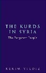 Kerim Yildiz, Yildiz Kerim - The Kurds in Syria