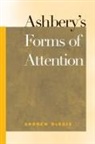 Andrew DuBois, Andrew Lee DuBois - Ashbery's Forms of Attention
