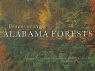Doug Phillips, Doug/ Falls Phillips, Robert P. Falls, Robert P. Falls - Discovering Alabama Forests
