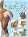 Petra Kopf-Maier, G. Wolf-Heidegger, Petra Kopf-Maier, Petra Köpf-Maier - The Color Atlas of Human Anatomy