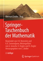 Wolfgang Hackbusch, Juraj Hromkovic, Bernd Luderer, Eberhar Zeidler, Eberhard Zeidler - Springer-Taschenbuch der Mathematik