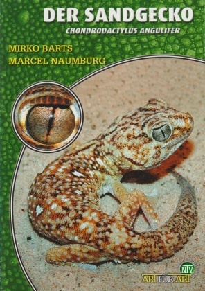 Mirk Barts, Mirko Barts, Marcel Naumburg - Der Sandgecko - Chondrodactylus angulifer