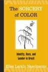 Elisa Larkin Nascimento - The Sorcery of Color
