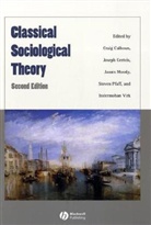 Craig Calhoun, Craig J. Gerteis Calhoun, Craig Calhoun, Joseph Gerteis, Steven Pfaff - Classical Sociological Theory