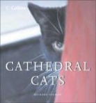 Richard Surman - Cathedral Cats