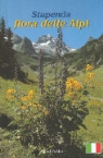 Zauberhafte Alpenblumen: Stupenda Flora delle Alpi