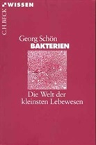 Georg Schön - Bakterien