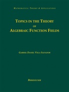 Gabriel D. Villa Salvador, Gabriel Daniel Villa Salvador - Topics in the Theory of Algebraic Function Fields