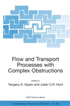 Yevgen A Gayev, Yevgeny A Gayev, C R Hunt, C R Hunt, Yevgeny A. Gayev, Julian C. R. Hunt... - Flow and Transport Processes with Complex Obstructions