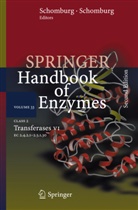 Dietmar Schomburg, Ida Schomburg - Springer Handbook of Enzymes - 33: Class 2  Transferases VI