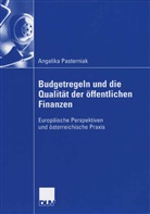 Angelika Pasterniak - Budgetregeln und die Qualität der öffentlichen Finanzen