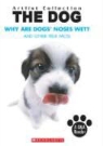 Howie (RTL) Dewin - Why Are Dogs' Noses Wet?
