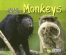 Tracey Crawford - Monkeys