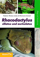 Friedrich W Henkel, Friedrich-Wilhelm Henkel, Wolfgang Schmidt - Rhacodactylus ciliatus und auriculatus