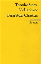 Theodor Storm - Viola tricolor. Beim Vetter Christian
