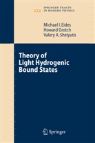 M. I. Eides, Michael Eides, Michael I Eides, Michael I. Eides, Howar Grotch, Howard Grotch... - Theory of Light Hydrogenic Bound States