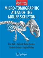 Itai Bab, Itai A Bab, Itai A. Bab, Itali Bab, Carmit Hajbi-Yonissi, Yankel Gabet... - Micro-Tomographic Atlas of the Mouse Skeleton