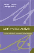 Marian Giaquinta, Mariano Giaquinta, Giuseppe Modica - Mathematical Analysis