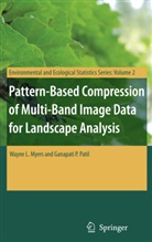 Wayne Myers, Wayne L Myers, Wayne L. Myers, Ganapati P Patil, Ganapati P. Patil - Pattern-Based Compression of Multi-Band Image Data for Landscape Analysis