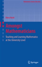 Elena Nardi - Amongst Mathematicians