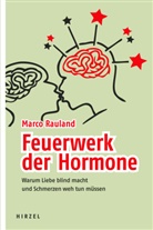 Marco Rauland - Feuerwerk der Hormone