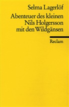 Selma Lagerlöf - Abenteuer des kleinen Nils Holgersson mit den Wildgänsen