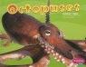 Carol K. Lindeen - Octopuses