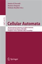 Stafania Bandini, Bastie Chopard, Bastien Chopard, Samira El Yacoubi, Samira El Yacoubi - Cellular Automata