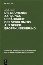 Arndt Möser - Die drohende Zahlungsunfähigkeit des Schuldners als neuer Eröffnungsgrund