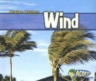Cassie Mayer - Wind