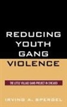 Irving A. Spergel - Reducing Youth Gang Violence