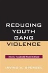 Irving A. Spergel - Reducing Youth Gang Violence