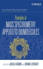 Dominic M. Nibbering Desiderio, DESIDERIO DOMINIC M NIBBERING N, Laskin, C Laskin, Julia Laskin, Lifshitz... - Principles of Mass Spectrometry Applied to Biomolecules