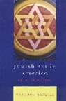 Matthew Baigell, Baigell Matthew - Jewish Art in America
