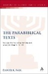 Daniel K Falk, Daniel K. Falk, FALK DANIEL K, Falk Daniel K., Lester L. Grabbe - The Parabiblical Texts