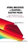 Maroulis George, George Maroulis, George (Univ of Patras Maroulis, Maroulis George - Atoms, Molecules and Clusters in Electric Fields: Theoretical