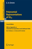 James A Green, James A. Green - Polynomial Representations of GL_n