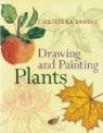 Christina Brodie - Drawing and Painting Plants