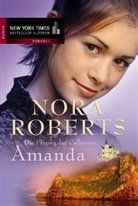 Nora Roberts - Die Frauen der Calhouns - 2: Die Frauen der Calhouns 2. Amanda