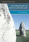 Richard Bradley - The Prehistory of Britain and Ireland