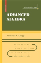 Anthony W Knapp, Anthony W. Knapp - Advanced Algebra