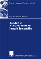 Tanja Waldeck, Tanja zu Waldeck - The Effect of Team Composition on Strategic Sensemaking
