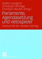 Steffen Ganghof, Christop Hönnige, Christoph Hönnige, Christian Stecker - Parlamente, Agendasetzung und Vetospieler
