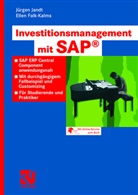 Ellen Falk-Kalms, Jürge Jandt, Jürgen Jandt - Investitionsmanagement mit SAP®